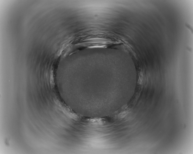 X0000099550524200805301523