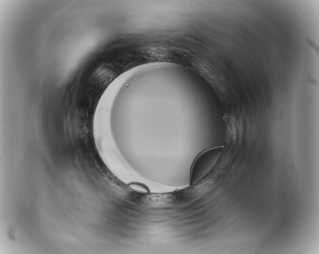 X0000099550526200805301523