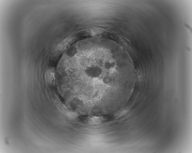 X0000099550527200805301523