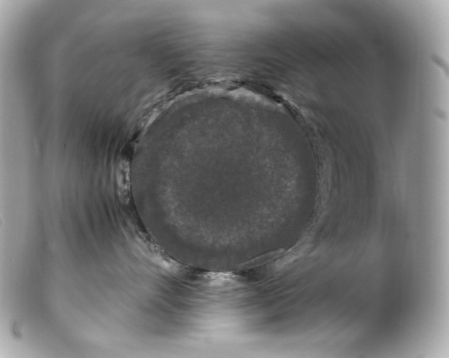 X0000099550528200805301523