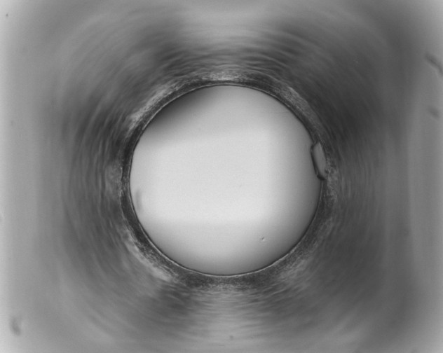 X0000099550530200805301522