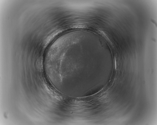 X0000099550531200805301523