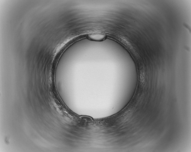 X0000099550532200805301523