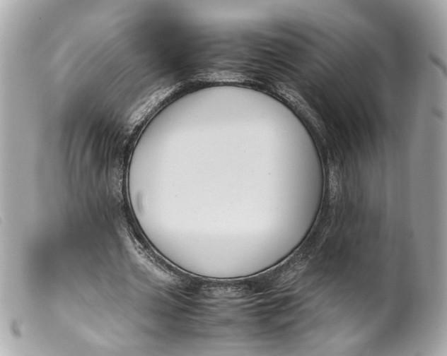 X0000099550533200805301523