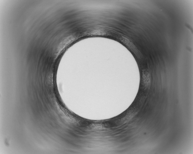 X0000099550534200805301523