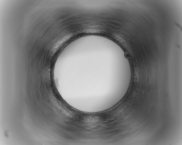 X0000099550535200805301523