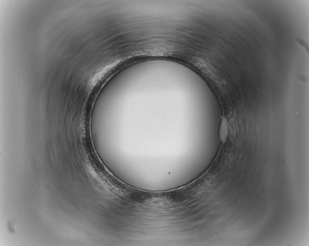 X0000099550536200805301523