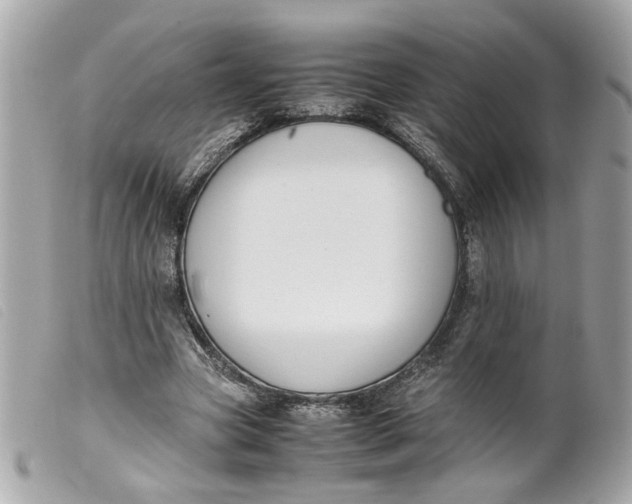 X0000099550537200805301523