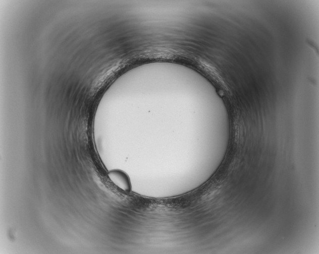 X0000099550538200805301523