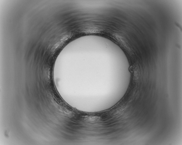 X0000099550539200805301523