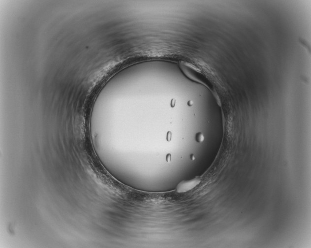 X0000099550540200805301523