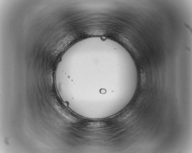 X0000099550541200805301523