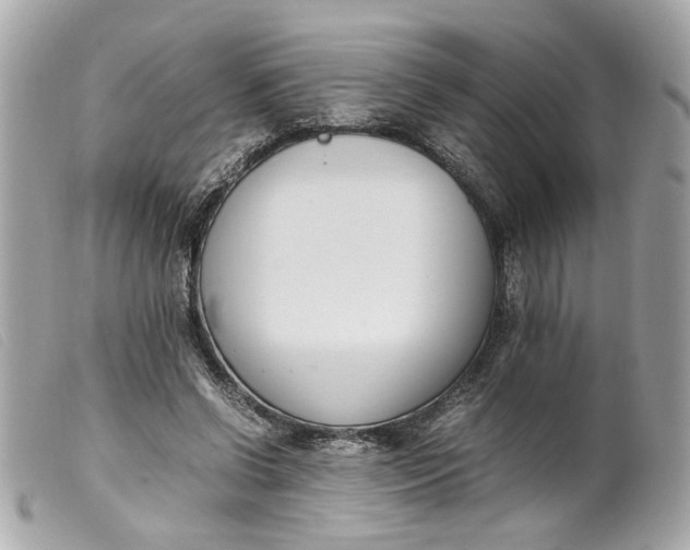 X0000099550542200805301523