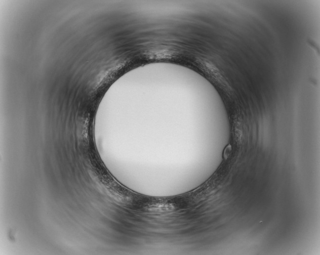 X0000099550543200805301523