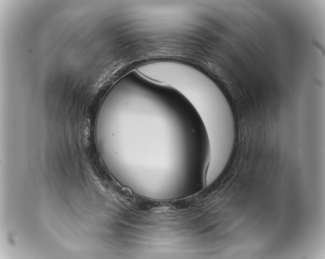 X0000099550544200805301523