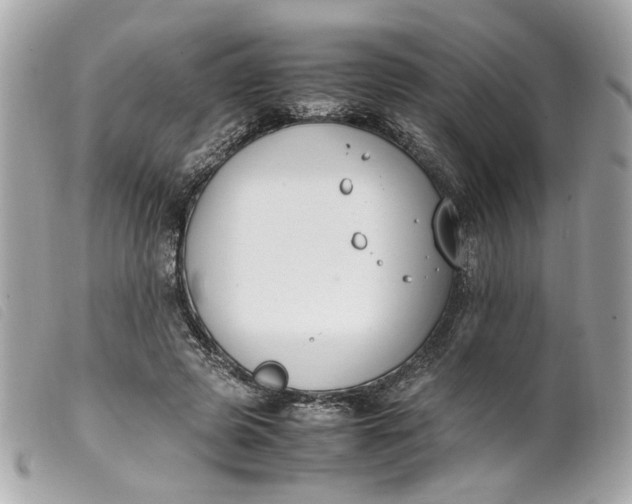 X0000099550545200805301523