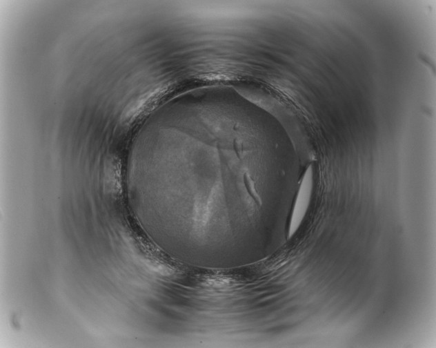 X0000099550547200805301523