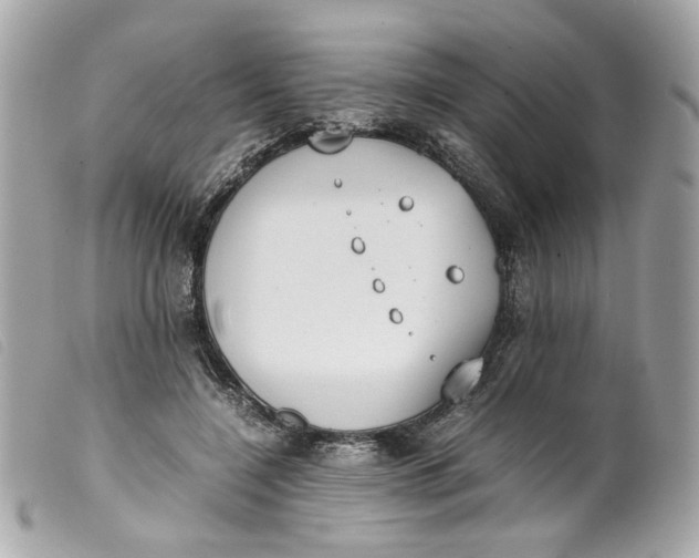 X0000099550548200805301523