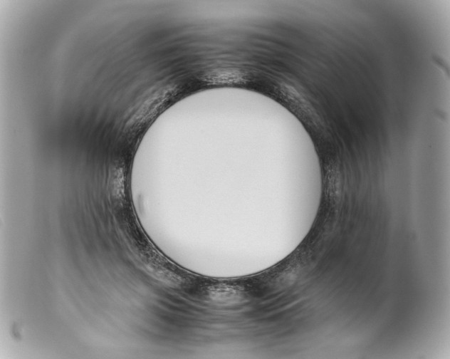 X0000099550549200805301523