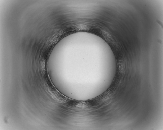 X0000099550550200805301523