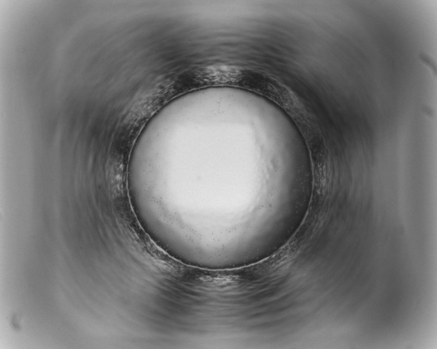 X0000099550553200805301523