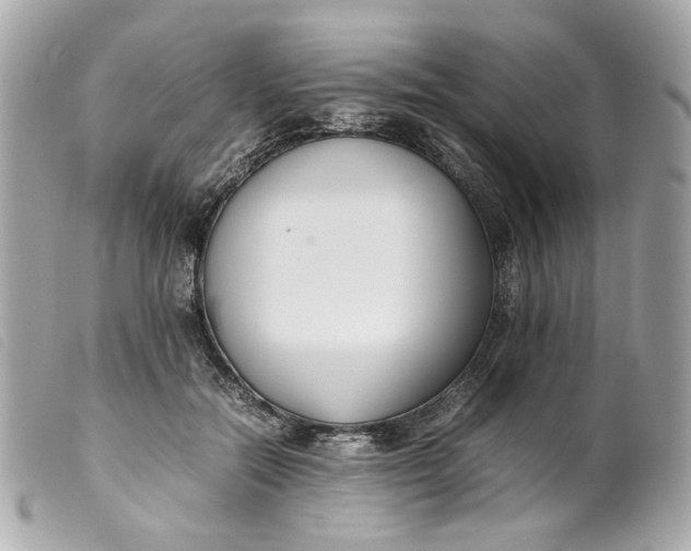 X0000099550554200805301523