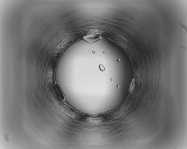 X0000099550556200805301523