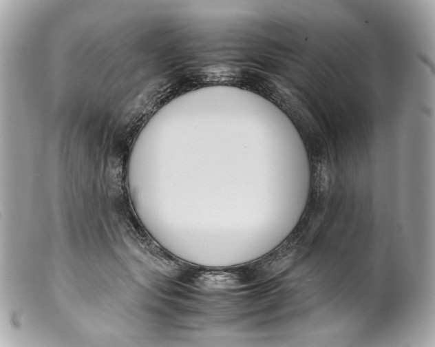 X0000099550557200805301523