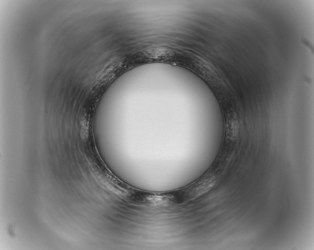 X0000099550558200805301523