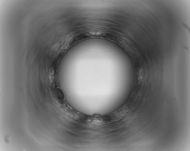 X0000099550559200805301523