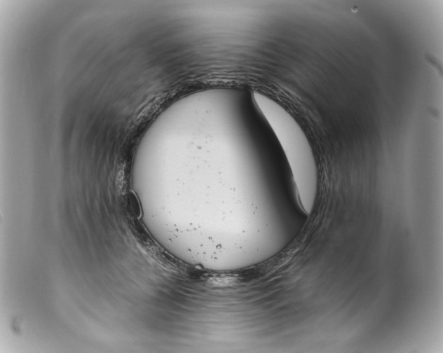 X0000099550560200805301523