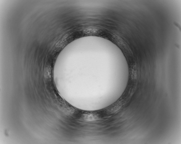 X0000099550561200805301523