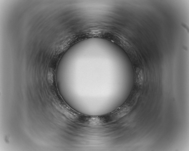 X0000099550562200805301523