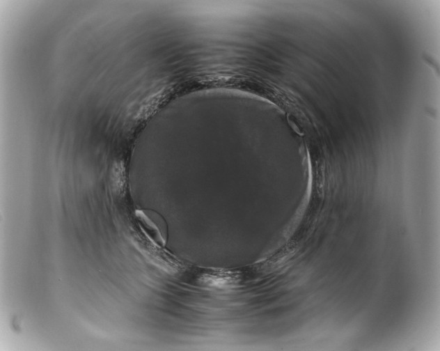 X0000099550563200805301523