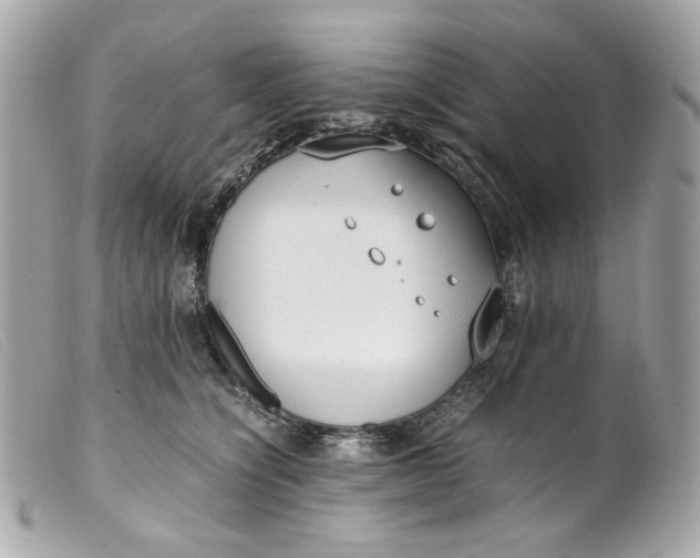 X0000099550564200805301523