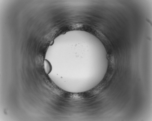 X0000099550565200805301523