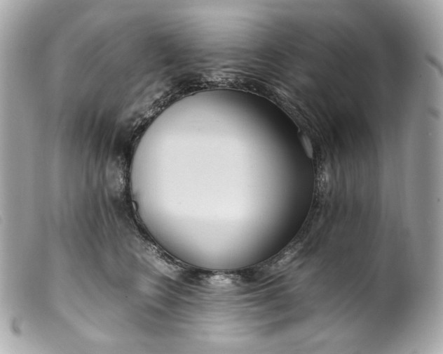 X0000099550566200805301523