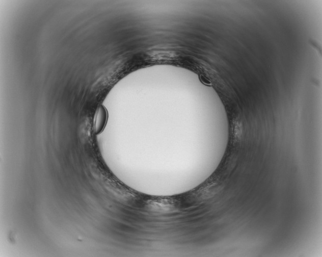 X0000099550567200805301523