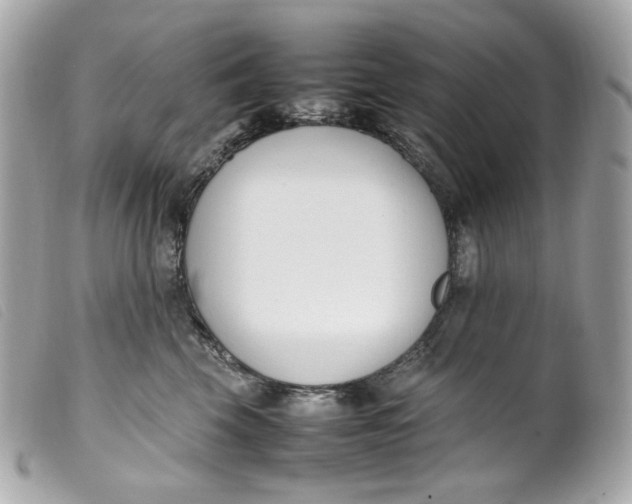 X0000099550569200805301523