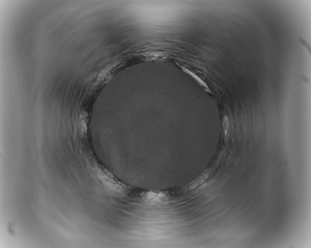 X0000099550570200805301523