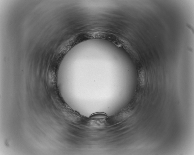 X0000099550571200805301523