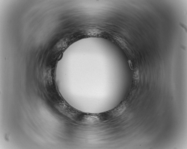 X0000099550572200805301523