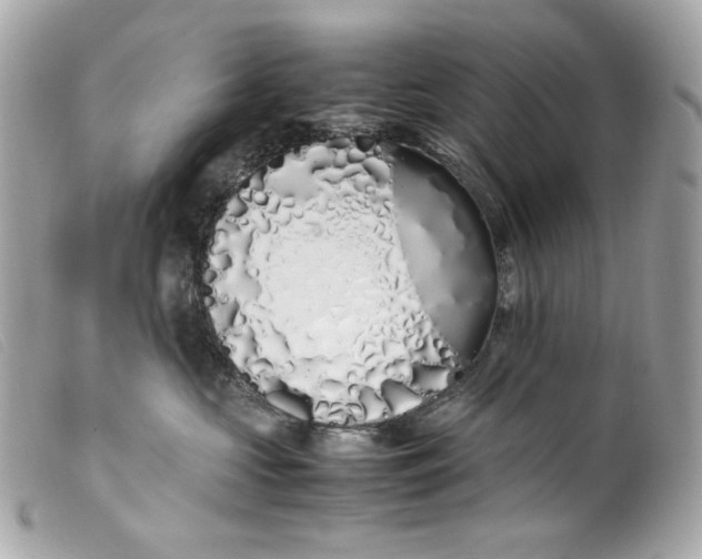 X0000099550573200805301523