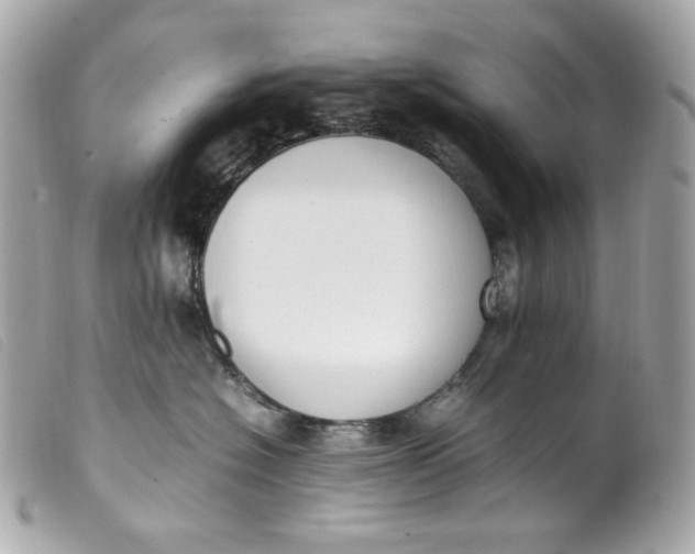 X0000099550574200805301523