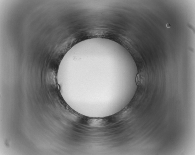 X0000099550575200805301523