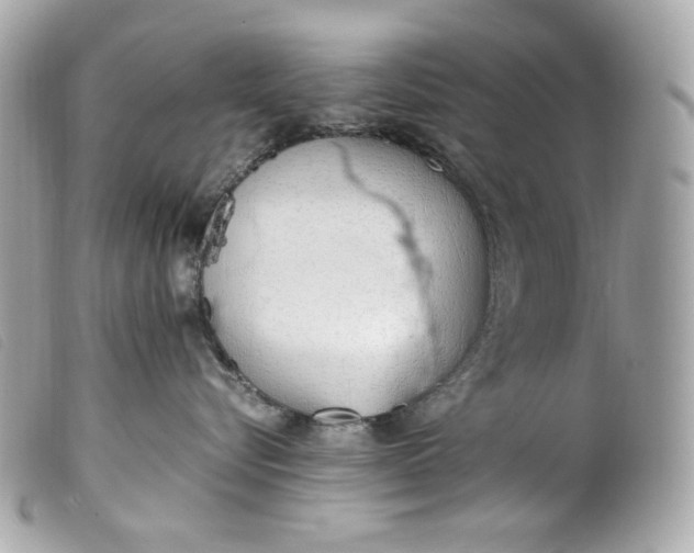 X0000099550576200805301523