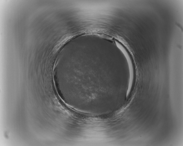 X0000099550577200805301522