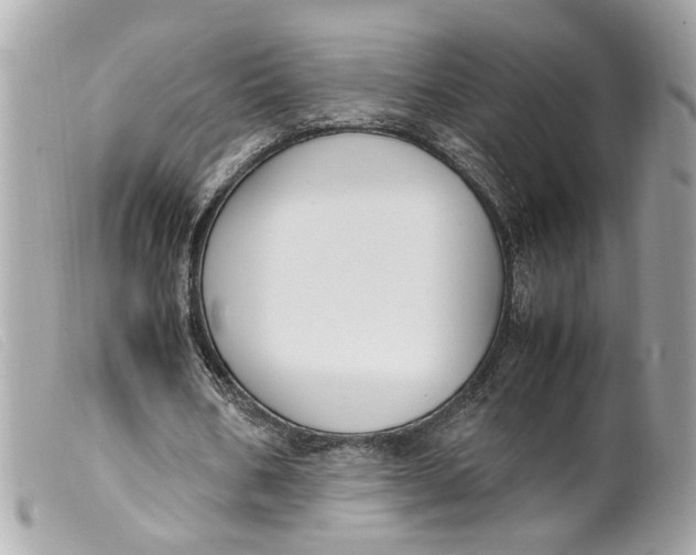 X0000099550578200805301522