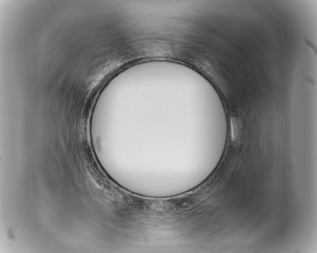 X0000099550579200805301522