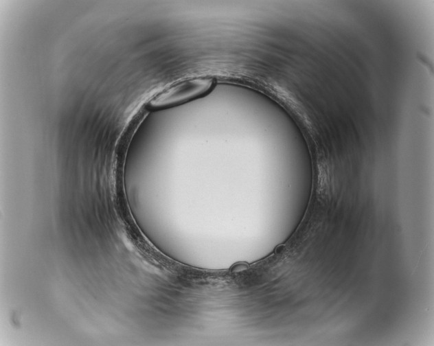 X0000099550580200805301522